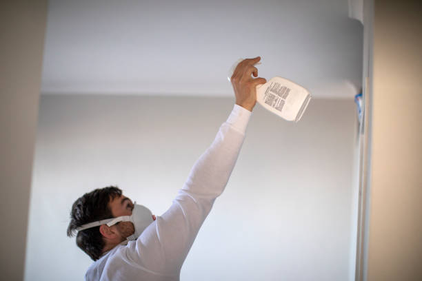 Best Insurance-Related Mold Remediation in Reading, MI