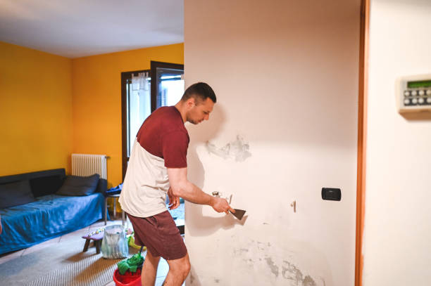 Best Localized Mold Remediation (e.g., coastal areas, humid climates) in Reading, MI